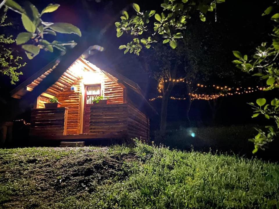 La 3 Stejari, Calimanesti Hotel Salatrucel Luaran gambar