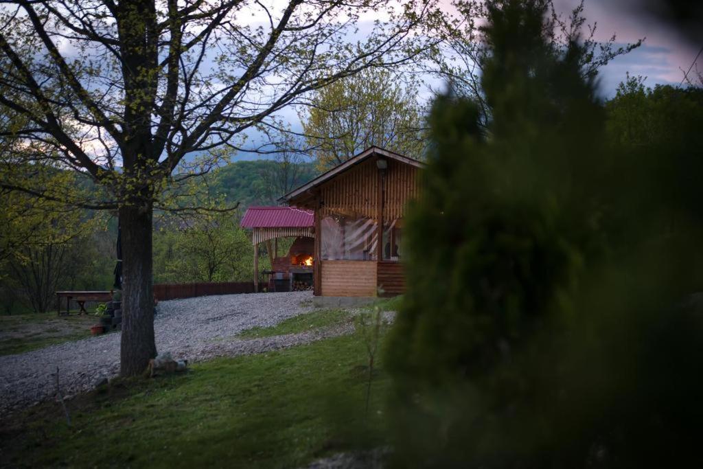 La 3 Stejari, Calimanesti Hotel Salatrucel Luaran gambar