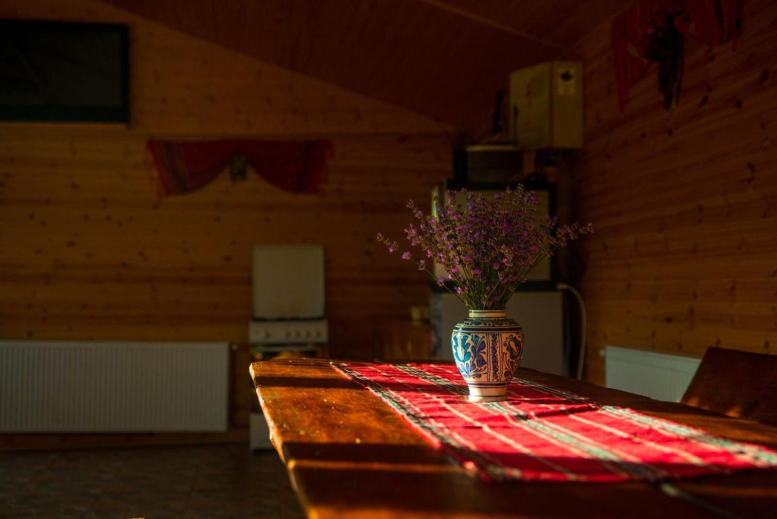 La 3 Stejari, Calimanesti Hotel Salatrucel Luaran gambar