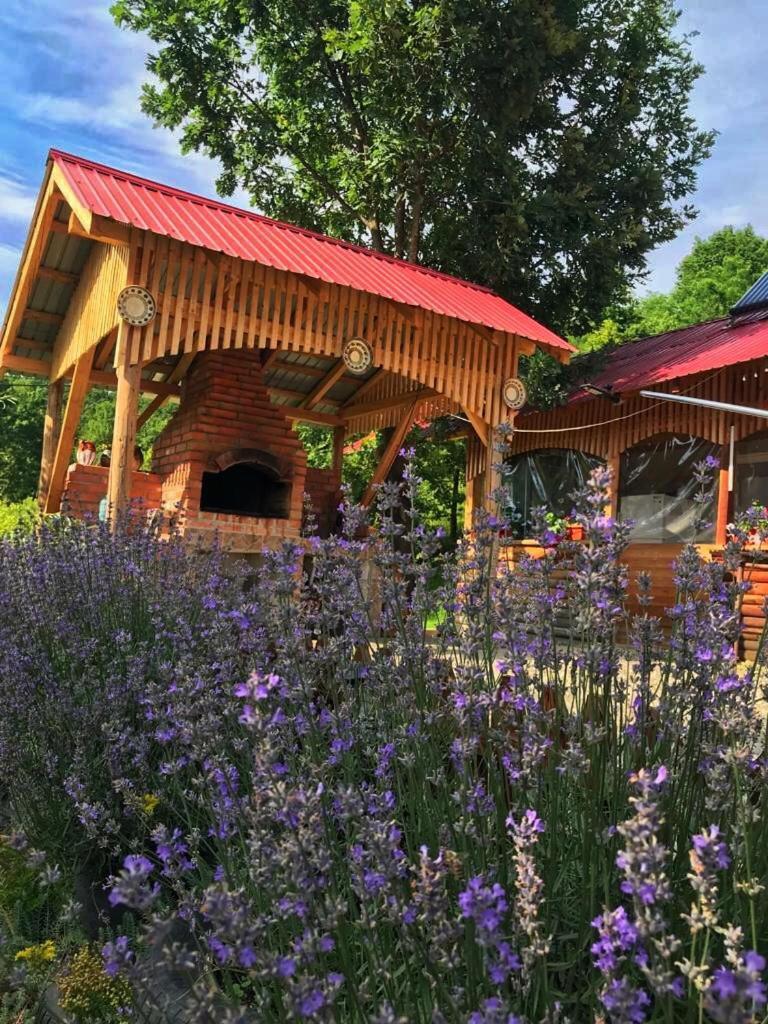 La 3 Stejari, Calimanesti Hotel Salatrucel Luaran gambar